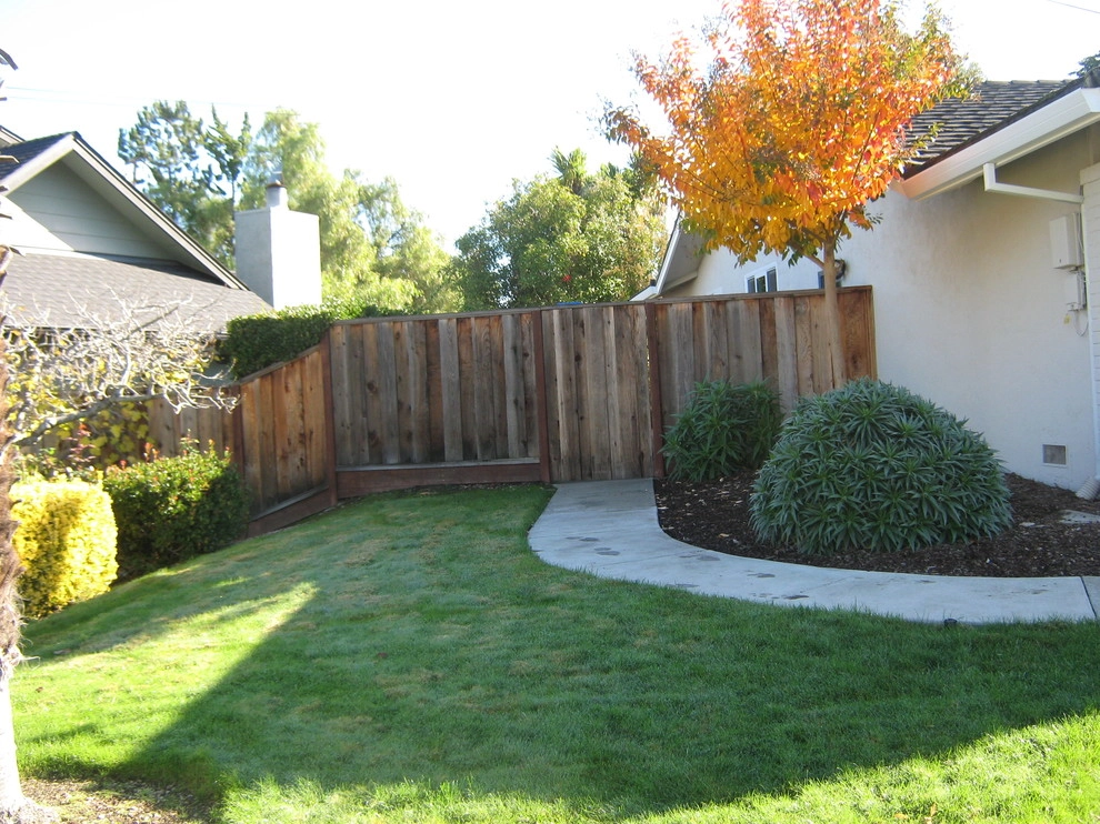 Petaluma Lawn Replacement by Hall Landscape Design - Photo 3