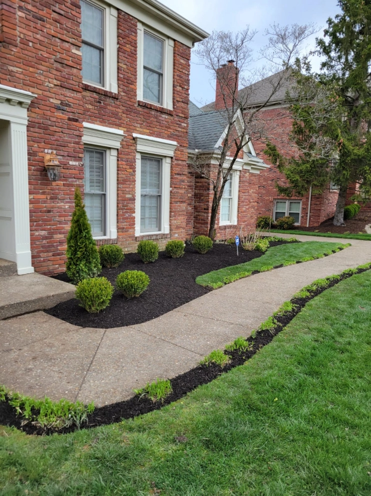 Alberto Alavez Professional Lawn Services LLC 13 by Alberto Alavez Professional Lawn Services LLC - Photo 10