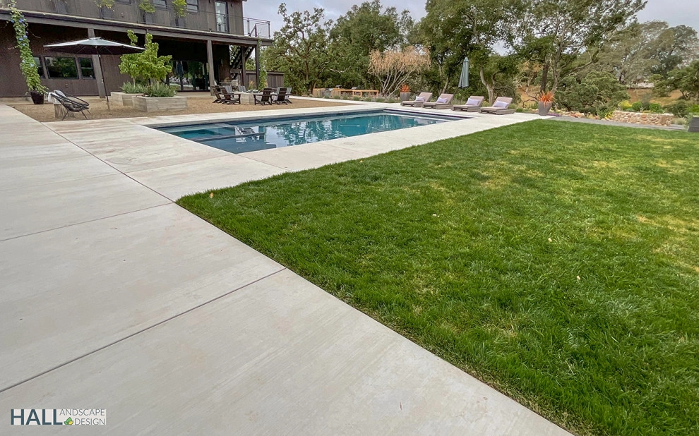 Refreshed yard great for entertaining by Hall Landscape Design - Photo 8