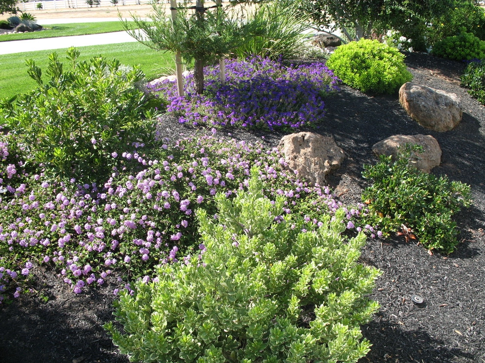 Santa Rosa Full Backyard & Front Yard Design by Hall Landscape Design - Photo 2