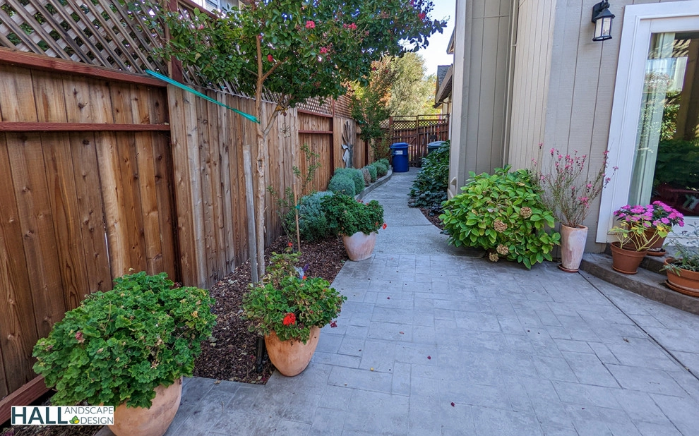 Fresh new patio, with new outdoor kitchen by Hall Landscape Design - Photo 7