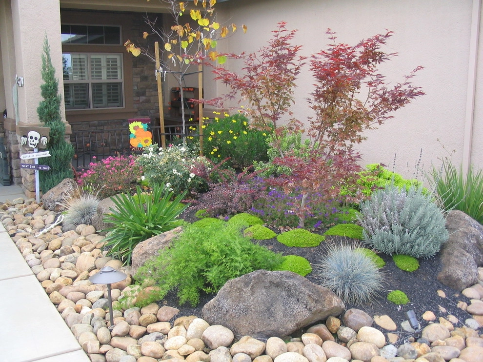 Santa Rosa Full Backyard & Front Yard Design by Hall Landscape Design - Photo 6
