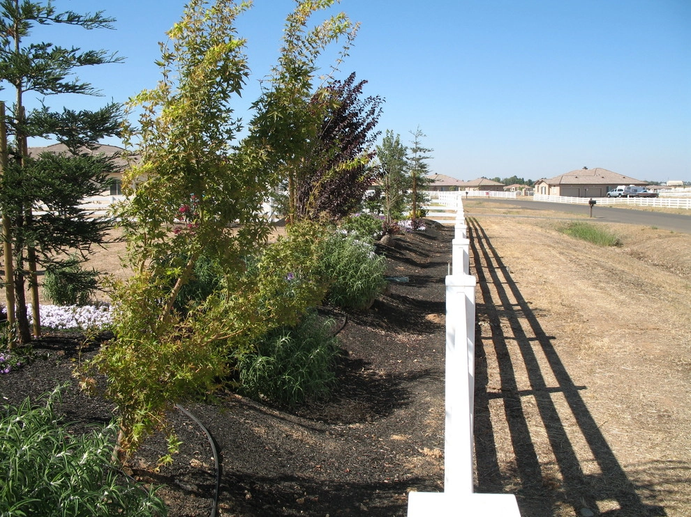 Santa Rosa Full Backyard & Front Yard Design by Hall Landscape Design - Photo 13
