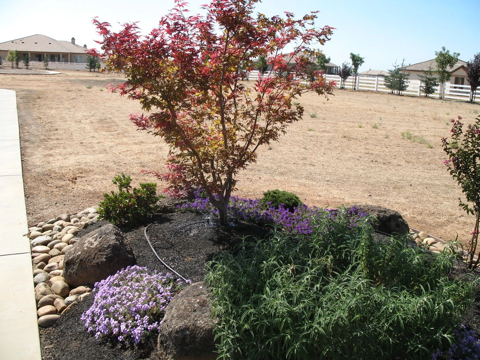 Santa Rosa Full Backyard & Front Yard Design by Hall Landscape Design - Photo 9