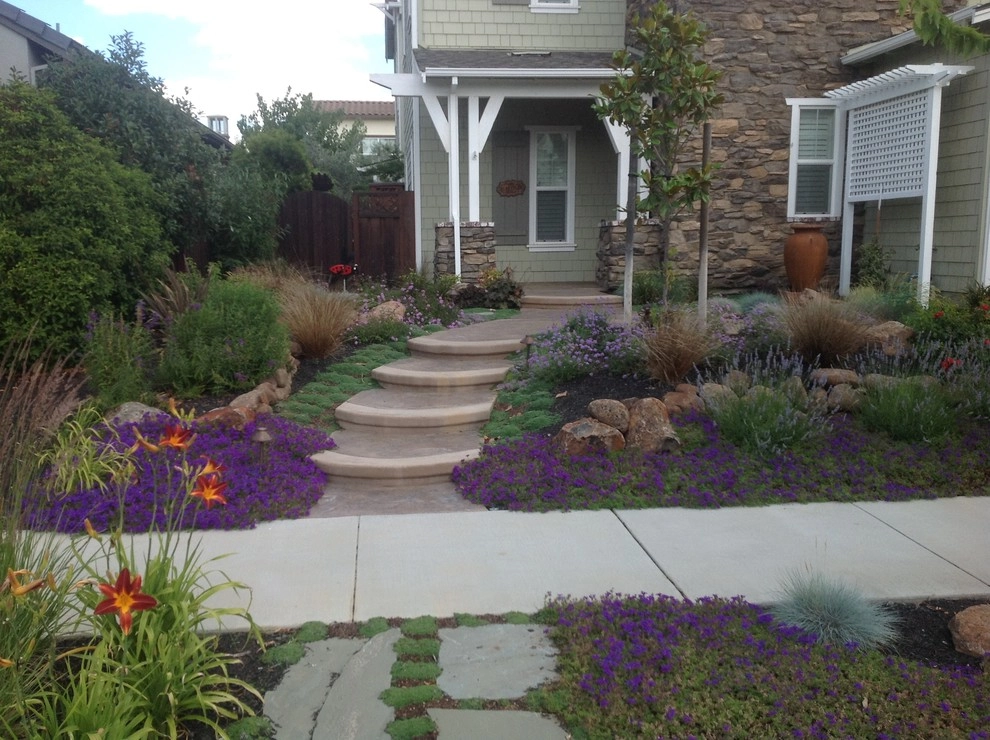 Santa Rosa Drought Tolerant Lawn Replacement by Hall Landscape Design - Photo 3