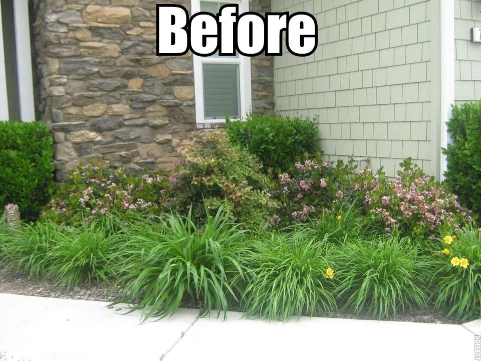 Santa Rosa Drought Tolerant Lawn Replacement by Hall Landscape Design - Photo 7