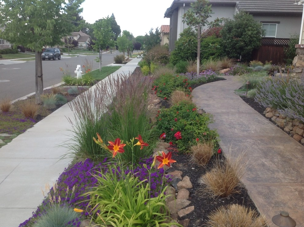 Santa Rosa Drought Tolerant Lawn Replacement by Hall Landscape Design - Photo 5