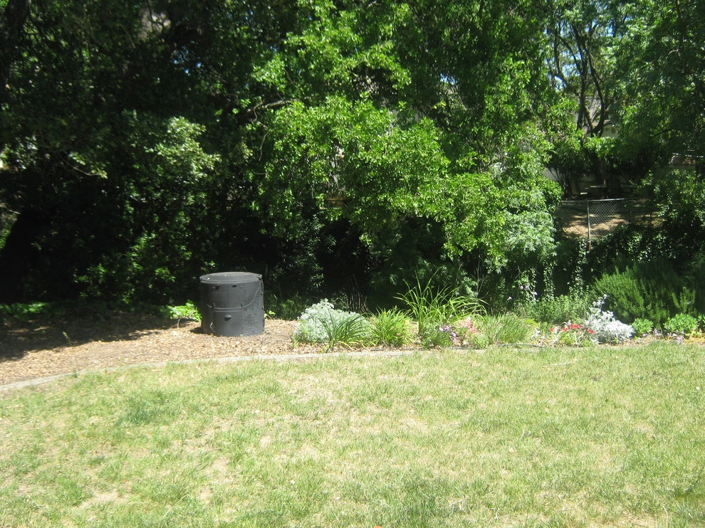 Forsestville Backyard by Hall Landscape Design - Photo 3
