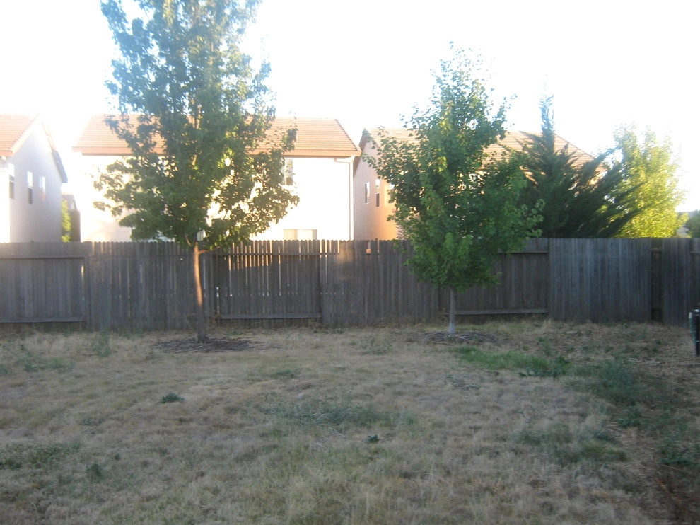 Healdsburg Converted Backyard by Hall Landscape Design - Photo 3