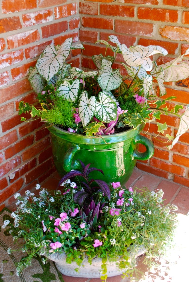 Summer Container Gardens by Adorn - Photo 33