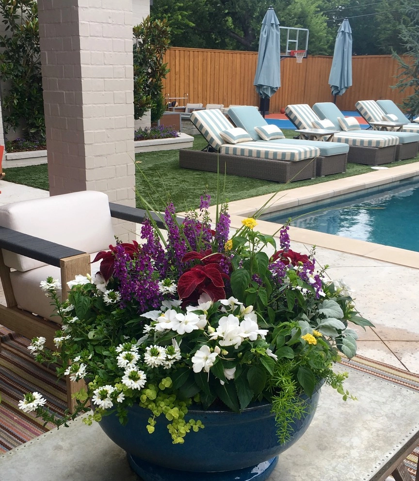 Summer Container Gardens by Adorn - Photo 5