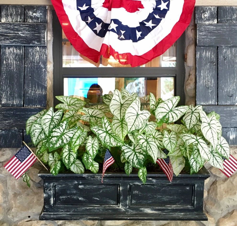 Summer Container Gardens by Adorn - Photo 3