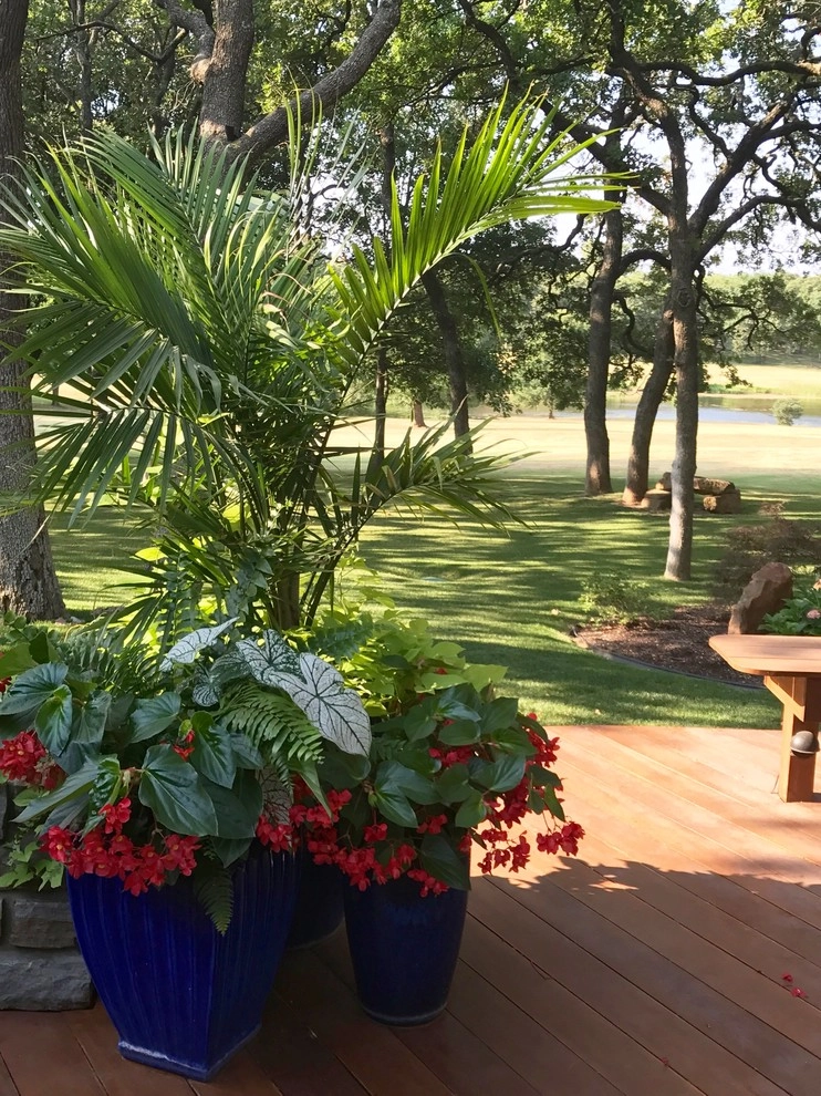 Summer Container Gardens by Adorn - Photo 4