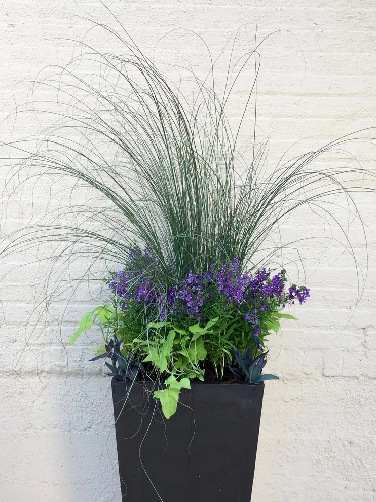 Summer Container Gardens by Adorn - Photo 9