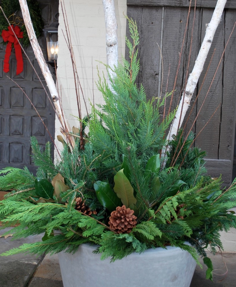 Winter Container Gardens by Adorn - Photo 3