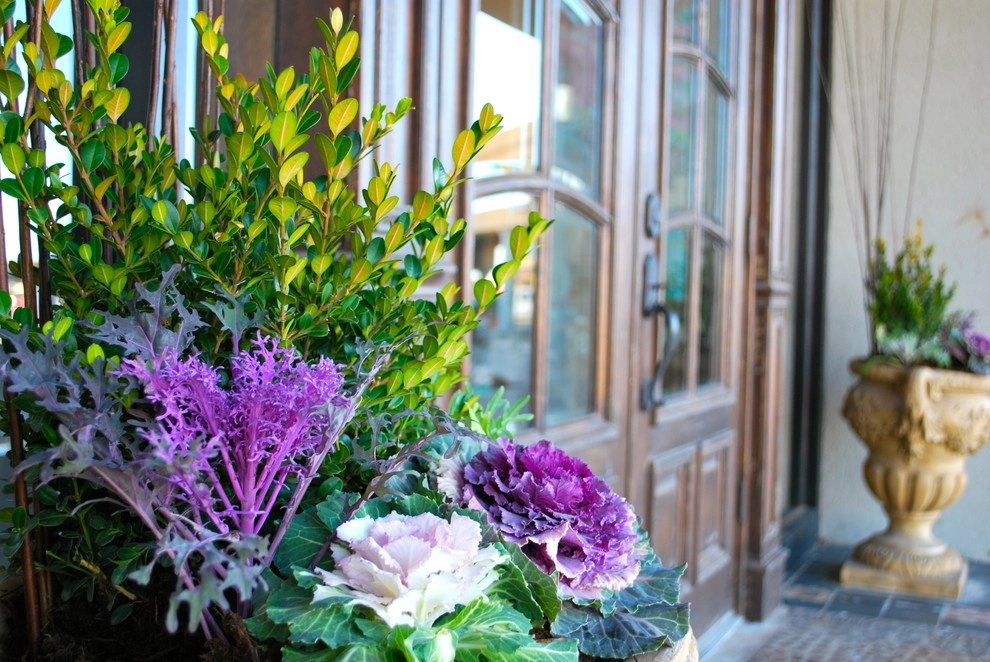 Winter Container Gardens by Adorn - Photo 24