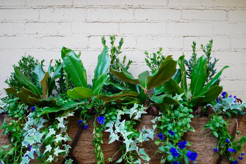 Winter Container Gardens by Adorn - Photo 15