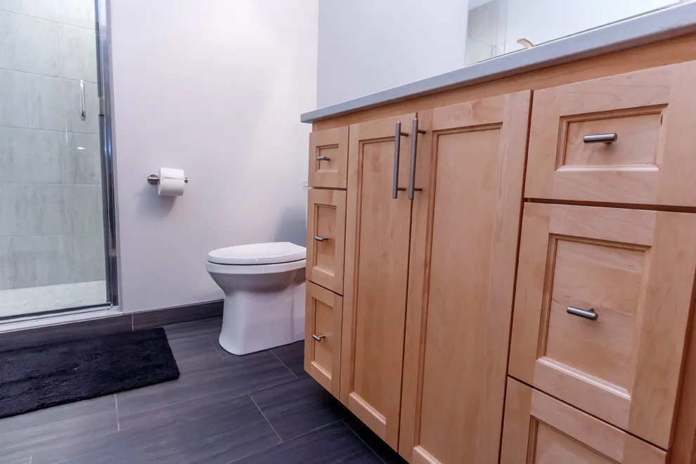 Basement Expansion and Master Bathroom Renovation by Badger Carpentry, Inc. - Photo 12