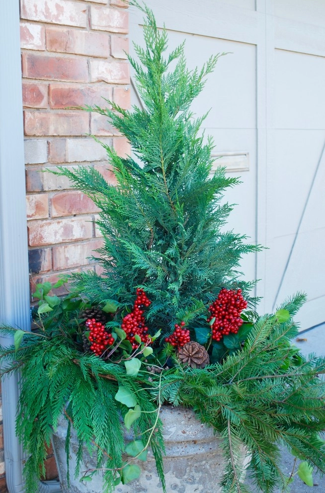 Winter Container Gardens by Adorn - Photo 22