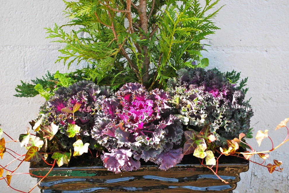 Winter Container Gardens by Adorn - Photo 16