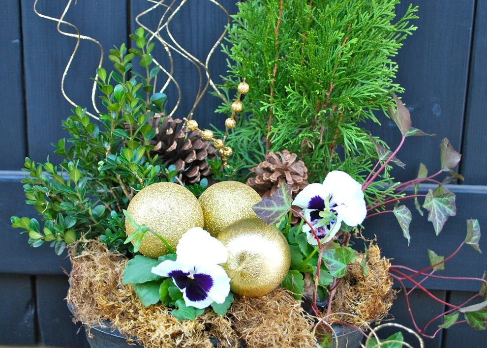 Winter Container Gardens by Adorn - Photo 4