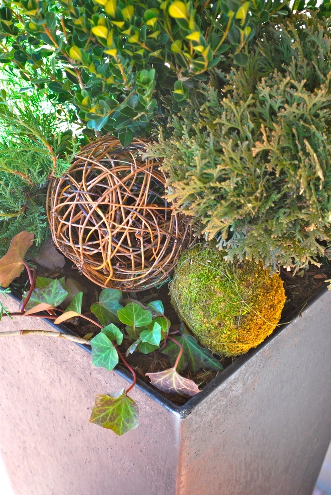 Winter Container Gardens by Adorn - Photo 7