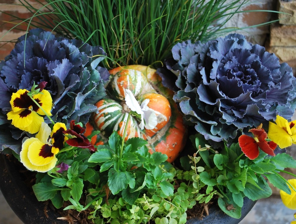 Fall Container Gardens by Adorn - Photo 26