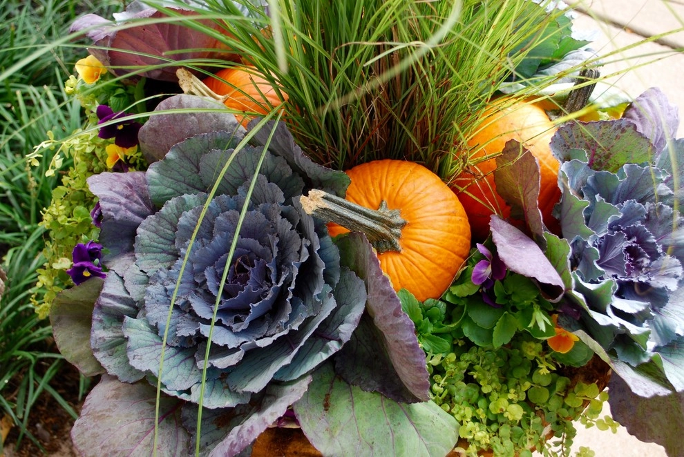 Fall Container Gardens by Adorn - Photo 52