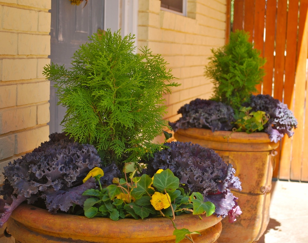Fall Container Gardens by Adorn - Photo 30