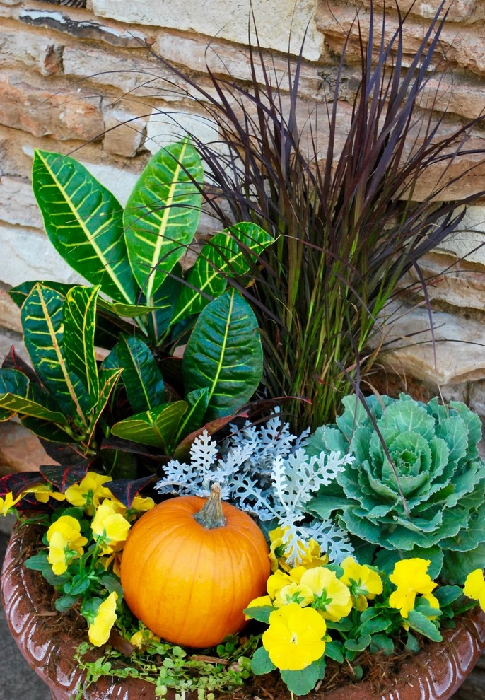 Fall Container Gardens by Adorn - Photo 18