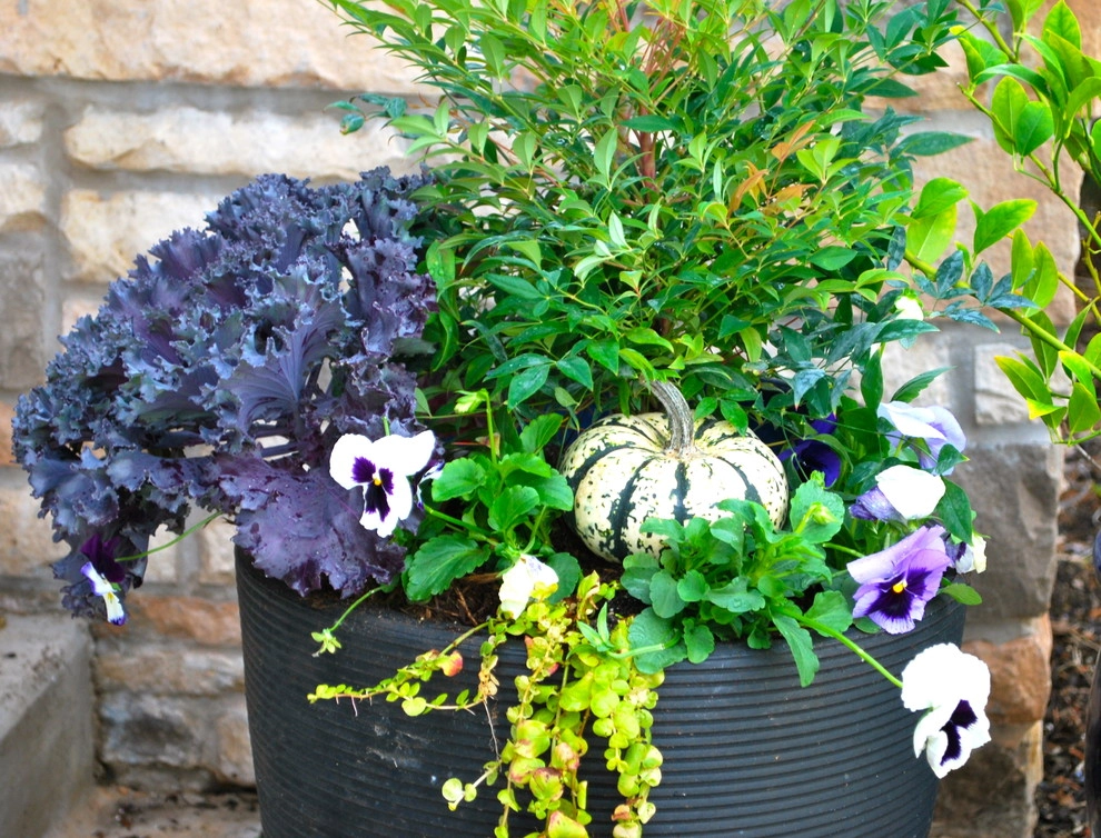 Fall Container Gardens by Adorn - Photo 60