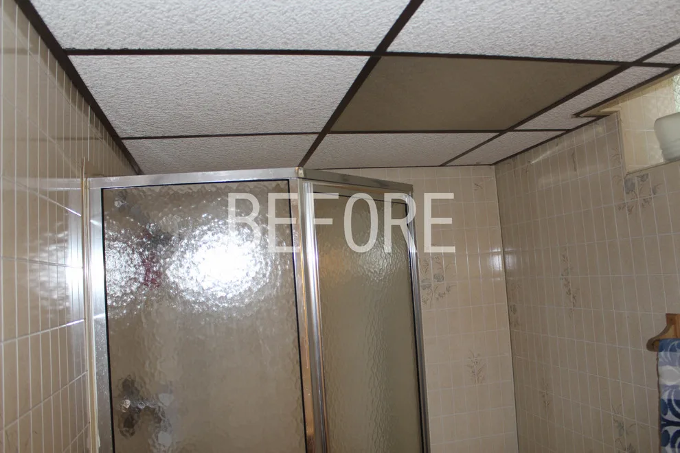 Bathroom Renovation in the Basement by Badger Carpentry, Inc. - Photo 6