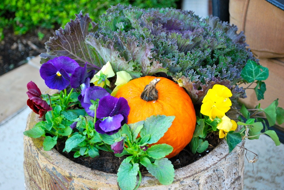 Fall Container Gardens by Adorn - Photo 56