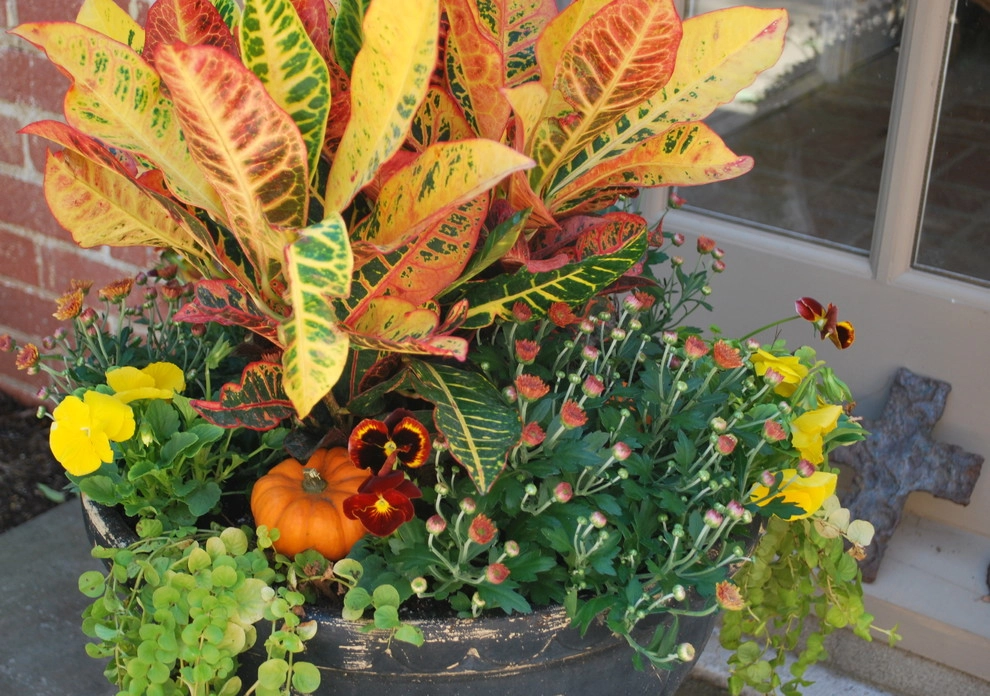 Fall Container Gardens by Adorn - Photo 39