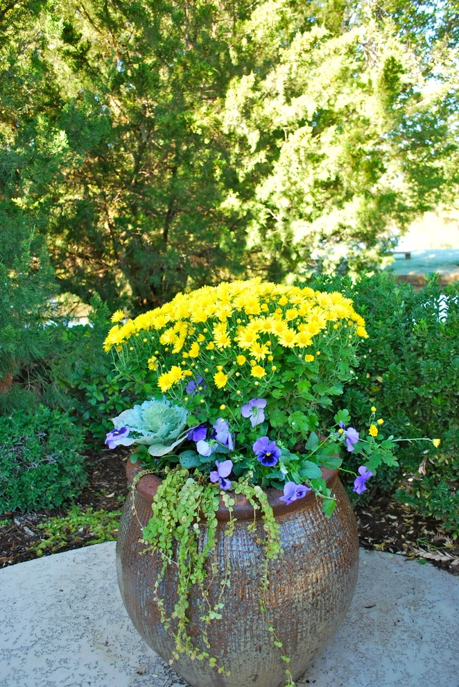 Fall Container Gardens by Adorn - Photo 40