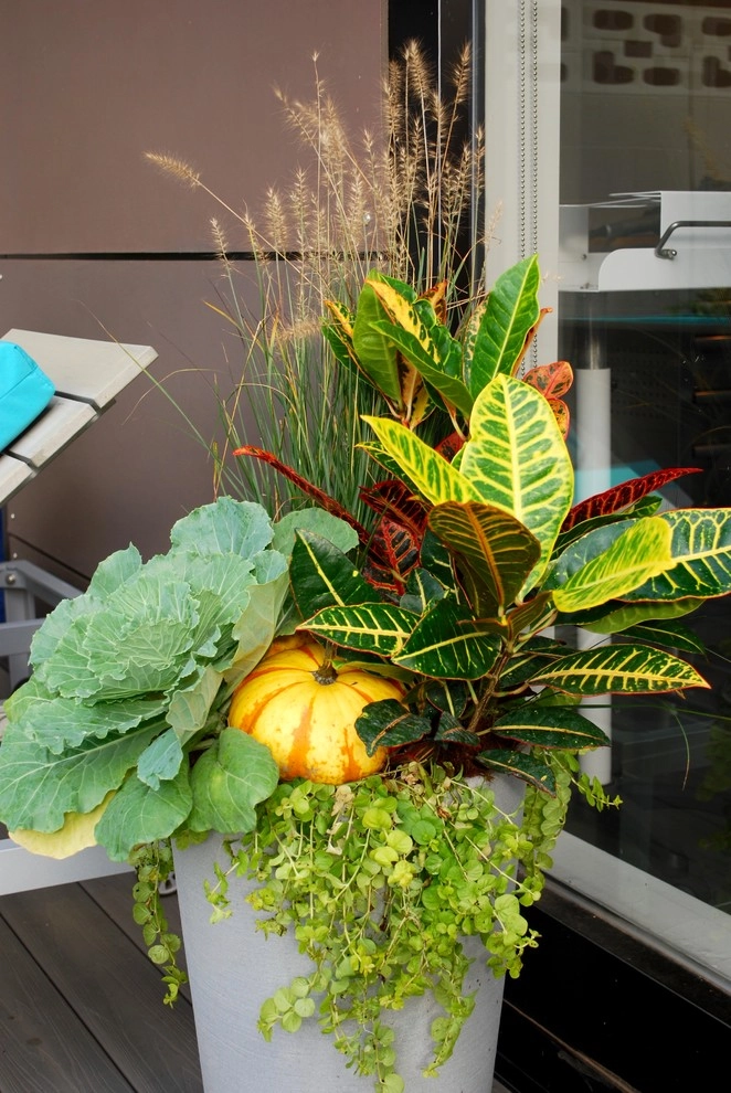 Fall Container Gardens by Adorn - Photo 63