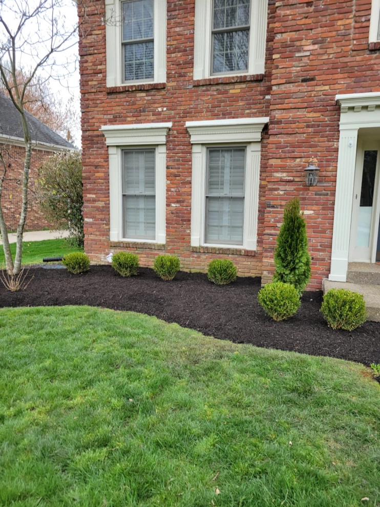 Alberto Alavez Professional Lawn Services LLC 13 by Alberto Alavez Professional Lawn Services LLC - Photo 5