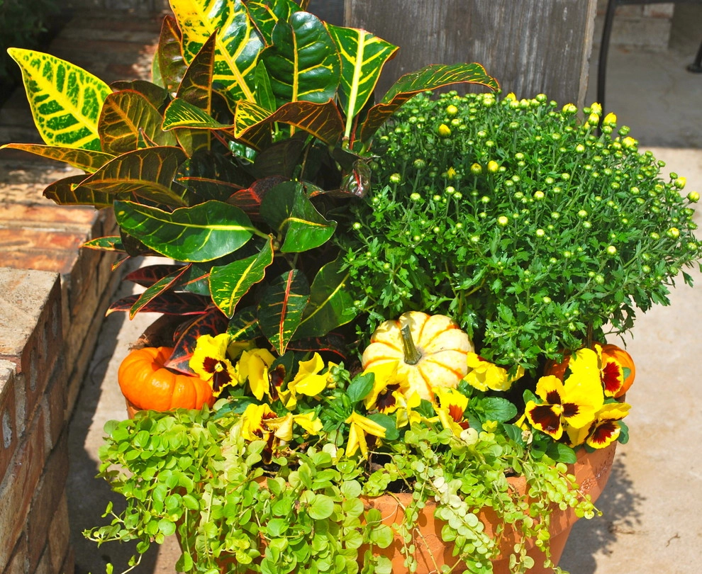 Fall Container Gardens by Adorn - Photo 59