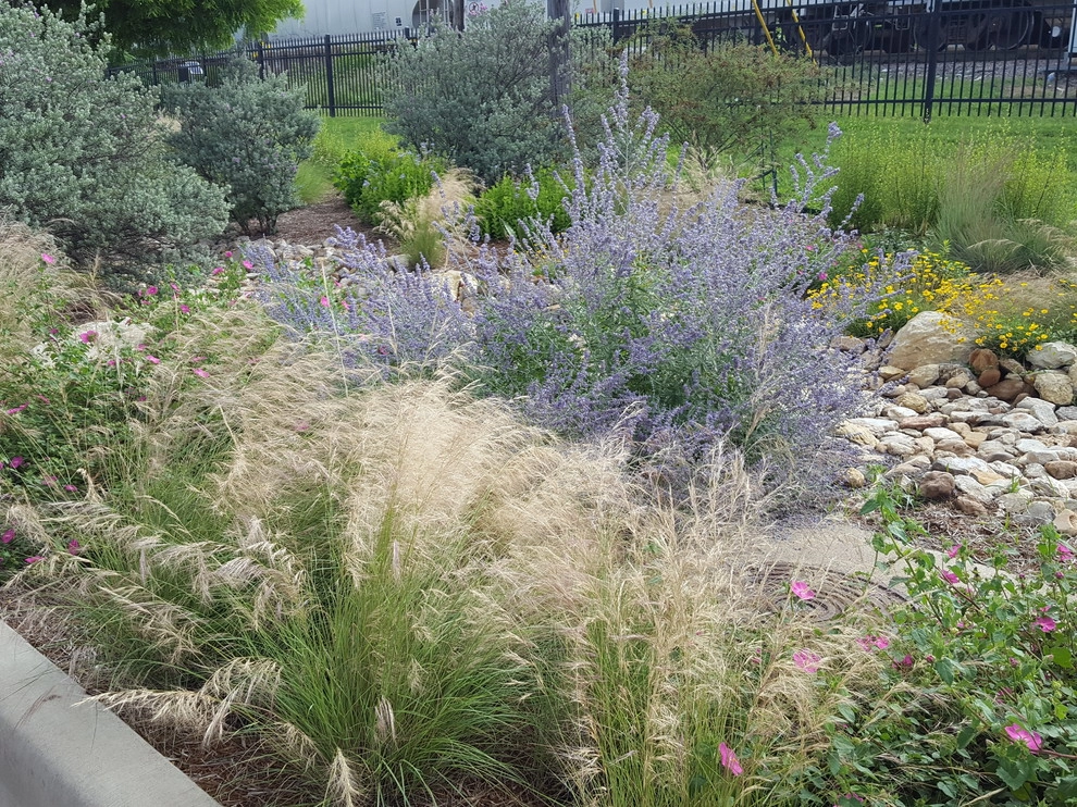Drought tolerant landscaping with dry creek bed by Happy Gardens - Photo 6