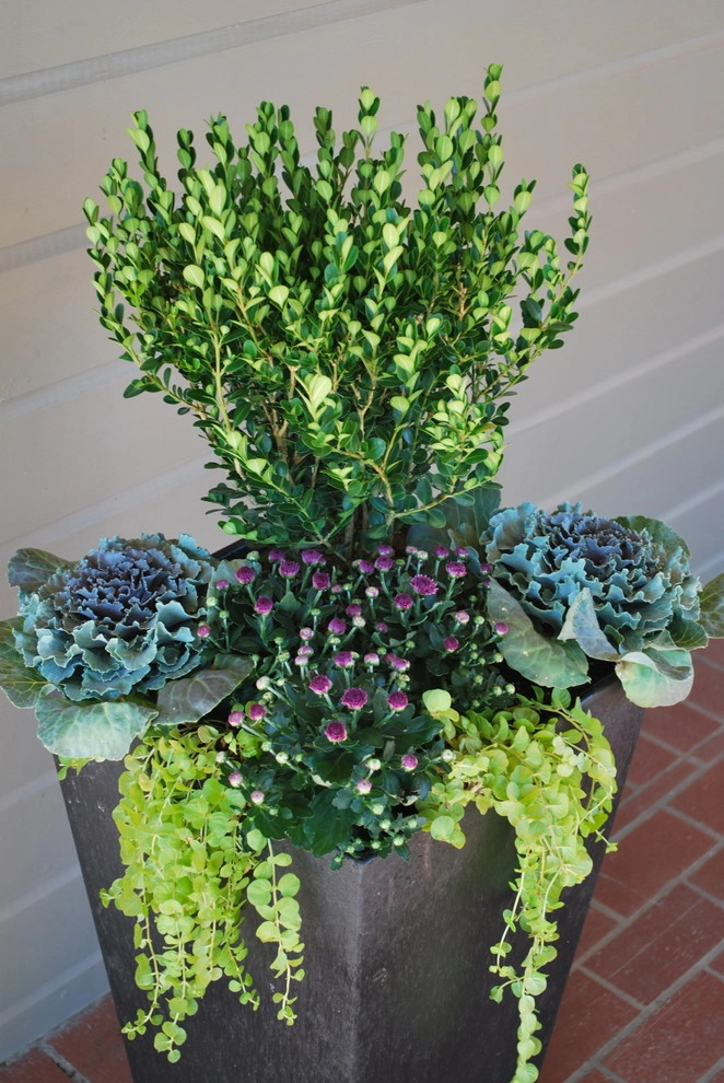 Fall Container Gardens by Adorn - Photo 3