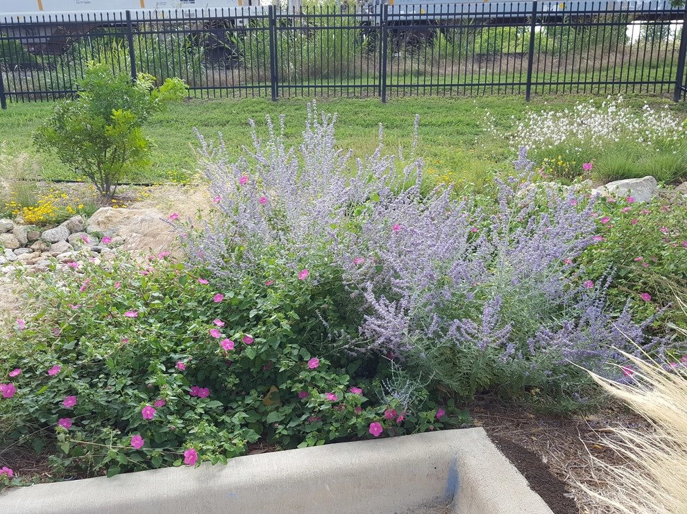 Drought tolerant landscaping with dry creek bed by Happy Gardens - Photo 5