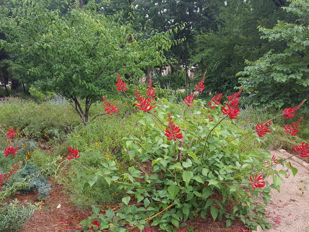 Drought tolerant and wildlife friendly front yard transformation by Happy Gardens - Photo 15