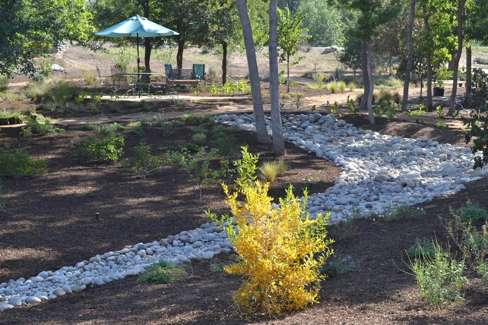 Drought tolerant and wildlife friendly front yard transformation by Happy Gardens - Photo 35