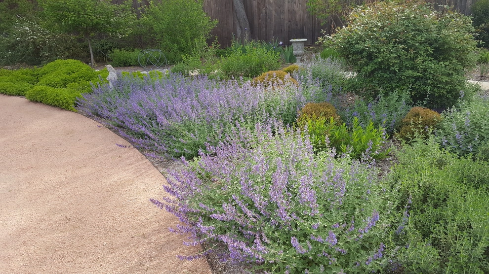 Backyard oasis by Happy Gardens - Photo 4