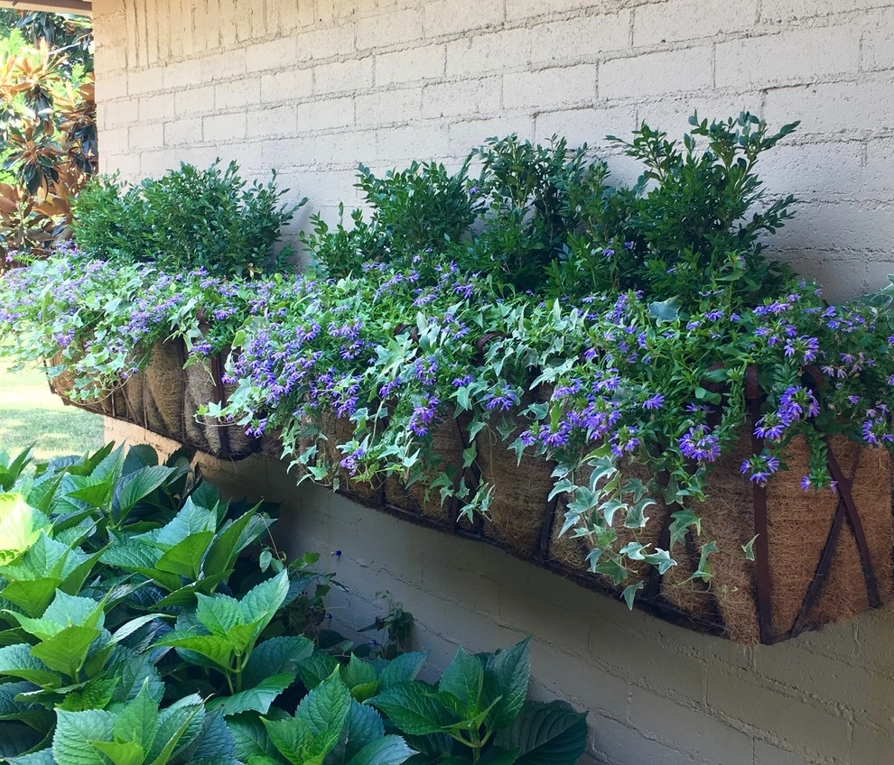 Windowbox Love by Adorn - Photo 2