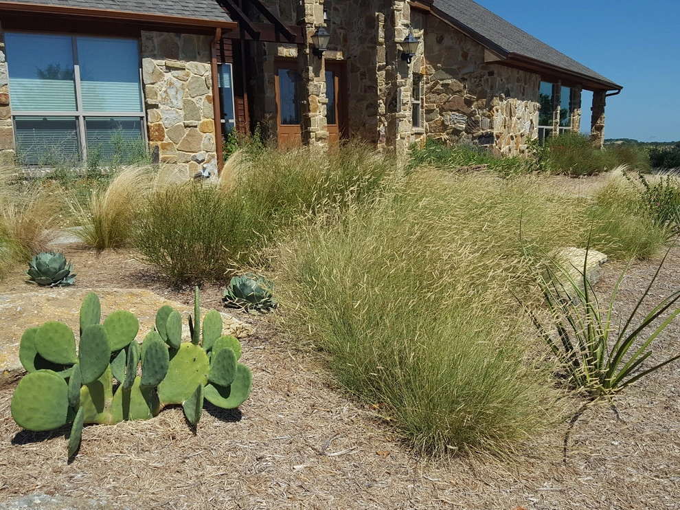Front yard xeriscape by Happy Gardens - Photo 3