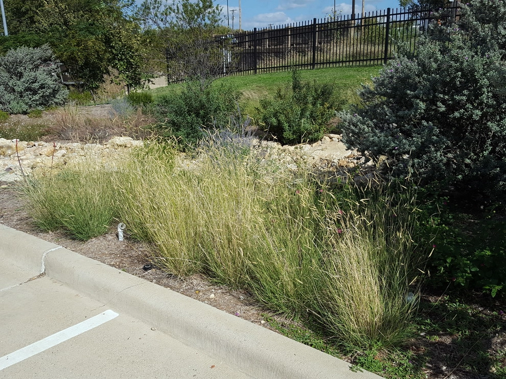 Drought tolerant landscaping with dry creek bed by Happy Gardens - Photo 2