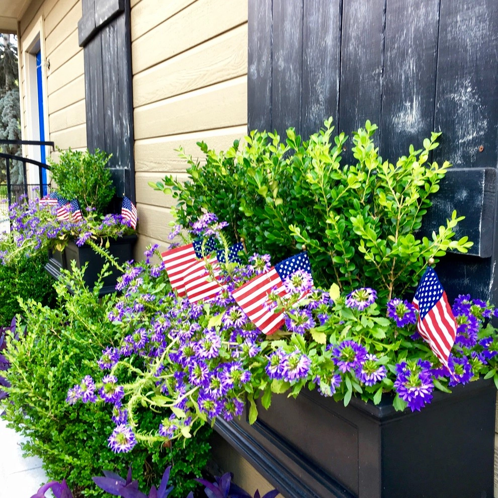Summer Container Gardens by Adorn - Photo 16