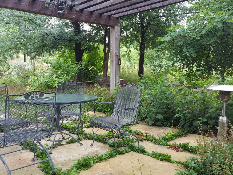 Drought tolerant and wildlife friendly front yard transformation by Happy Gardens - Photo 20