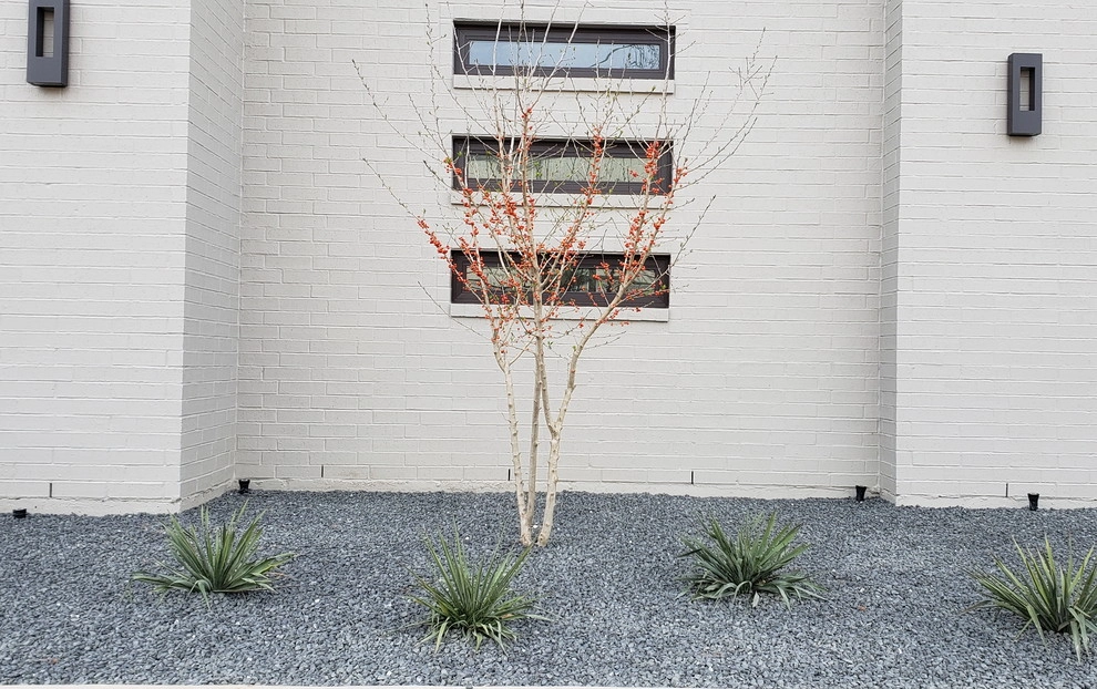 Modern but rooted in Texas by Happy Gardens - Photo 3